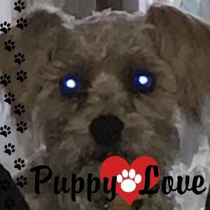 Meet your Posher, Sheryl